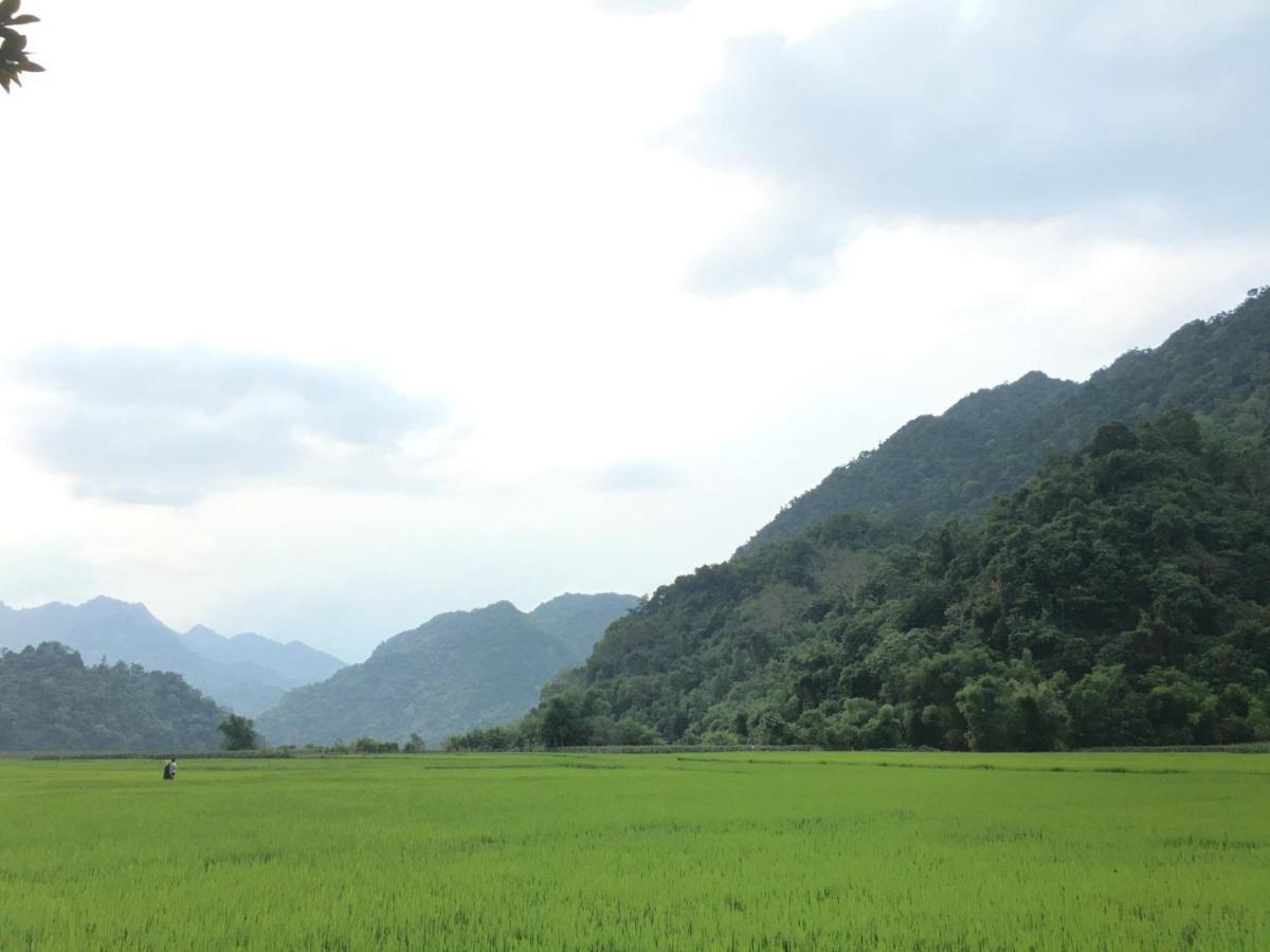 Hoang Quan Homestay Ba Be Εξωτερικό φωτογραφία